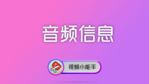 视频小能手命令行
