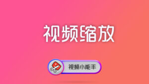 视频小能手命令行