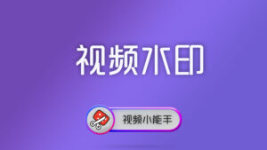 视频小能手命令行