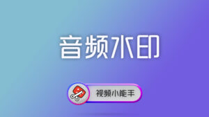 视频小能手命令行