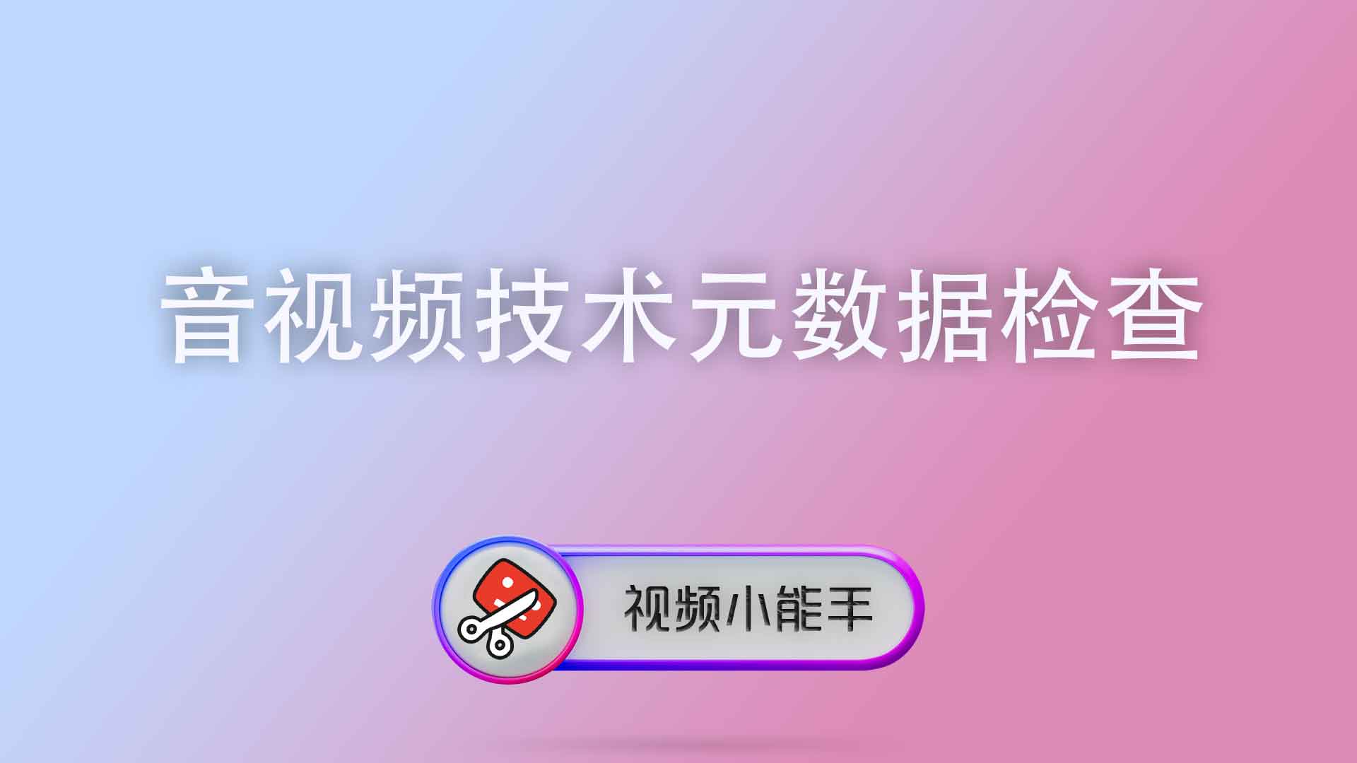 音视频技术元数据检查