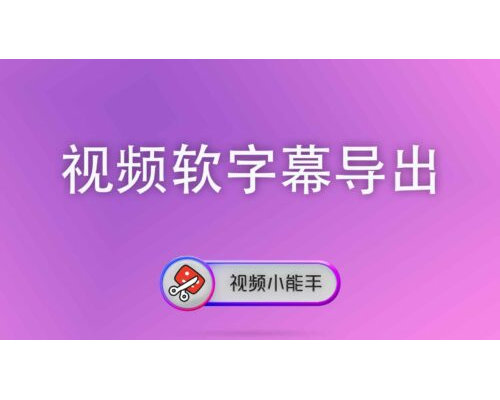 视频软字幕导出