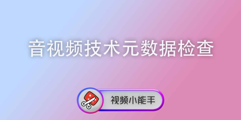 音视频技术元数据检查