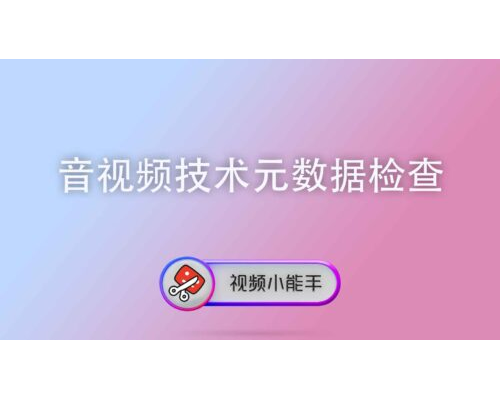 音视频技术元数据检查